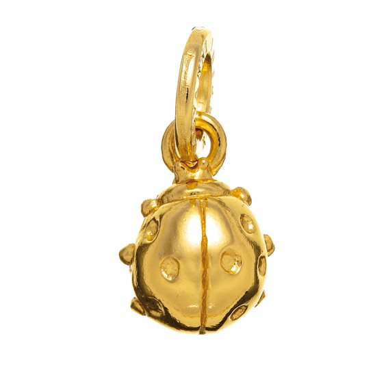 Charm Giovanni Raspini Charms in Plata 08587 - 08587